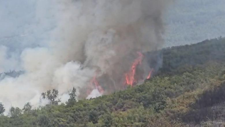 Zjarret në Tiranë, prefekti për Report Tv: 5 vatra në kryeqytet, dyshohen të qëllimshëm! Kemi përmirësim