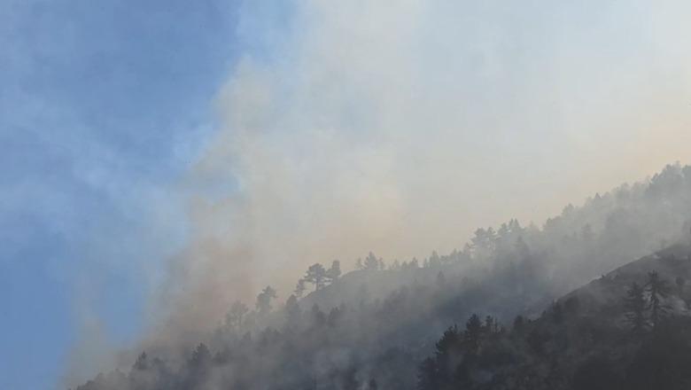 Vijon beteja me flakët në Parkun e Lurës, njëra prej vatrave rrezikon disa banesa! Neutralizohet zjarri në Peshtan të Fierit
