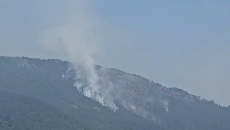 Vijon beteja me flakët në Parkun e Lurës, njëra prej vatrave rrezikon disa banesa! Neutralizohet zjarri në Peshtan të Fierit