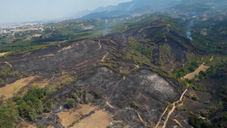 Dëmet e zjarrit në Priskë e Lundër të Tiranës, çfarë ka mbetur 48 orë pas flakëve që ‘pushtuan’ hektarë të tërë