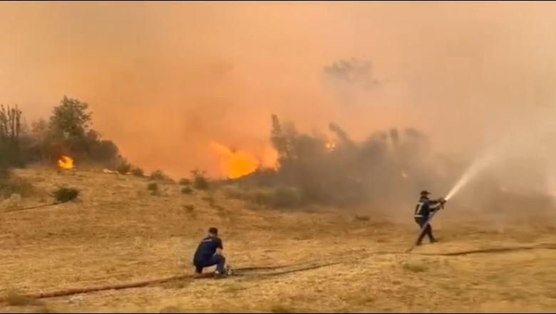 Tre ditë në luftë me flakët, Zjarrfikësit e Tiranës rrëfejnë betejën 72-orëshe në Priskë-Lundër: Misioni nuk përfundon kur lodhesh, por kur zjarri shuhet!