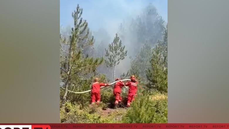 Zjarret në vend, ministri Nufi: S’ka rrezik për banesat dhe jetët e qytetarëve! Flakët nën kontroll edhe në Dibër