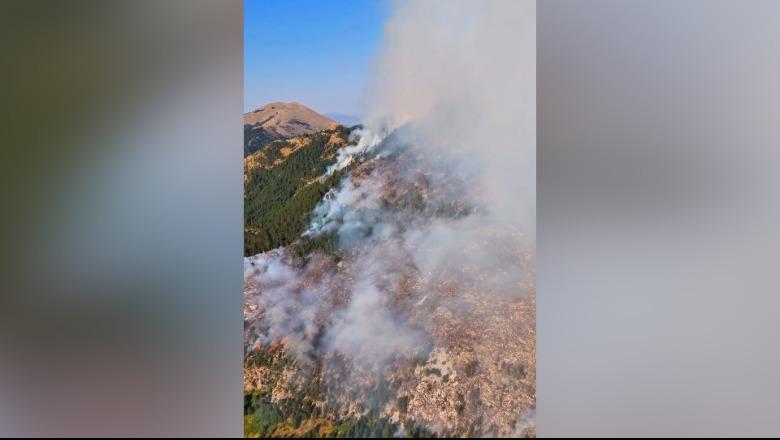 Zjarret në Dibër, Manja paralajmëron prokurorët: Gjeni zjarrvënësit! Nëse zvarriten hetimet, do i drejtohemi ILD-së për të verifikuar veprimtarinë tuaj!