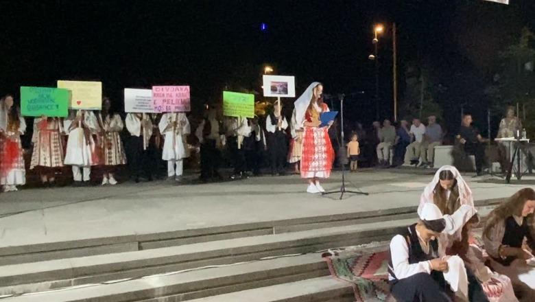 ‘Territorialja’/ Banorët e Divjakës vijojnë të kundërshtojnë bashkimin me Lushnjën! Organizojnë edhe një koncert me kënge e valle të zonës