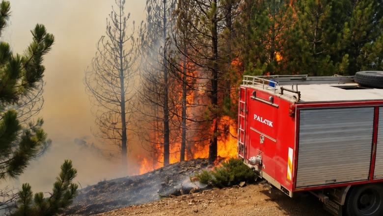 Masivi pyjor i Tërbunit në Pukë vijon të digjet, zjarrfikësit përballen të vetëm me flakët, era vështirëson situatën