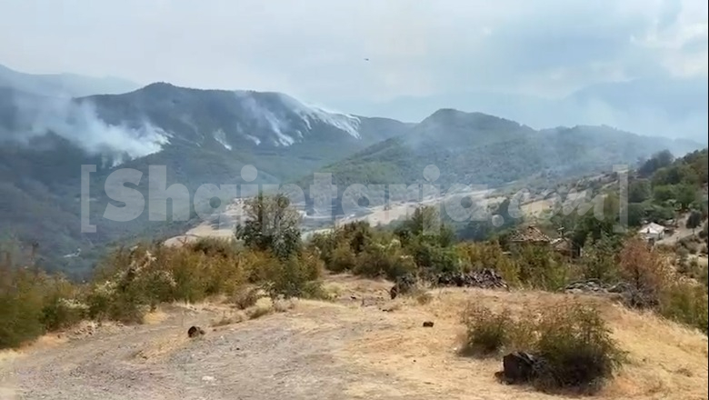Dy vatra zjarri mbeten aktive në Mirditë, zjarrfikësit vijojnë betejën me flakët