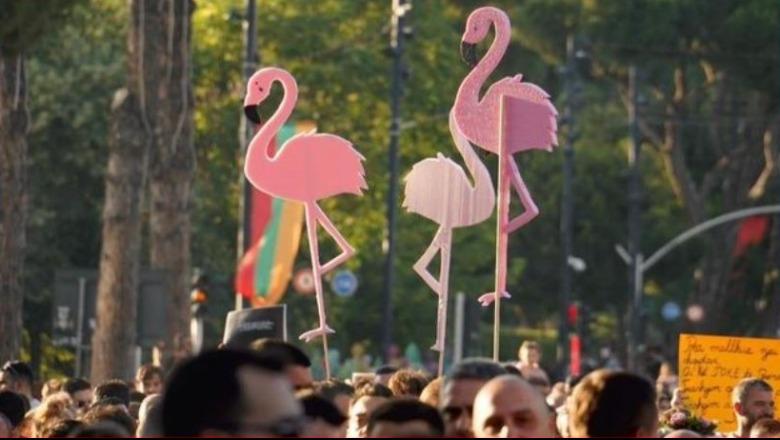 Ylli Pata: Flamingo, 80 ditët pa të nesërme, pa fytyrë dhe emër