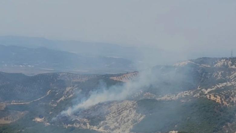 Zjarr në Çërrilë të Mallakastrës, flakët përfshijnë pisha, ullishte dhe shkurre  