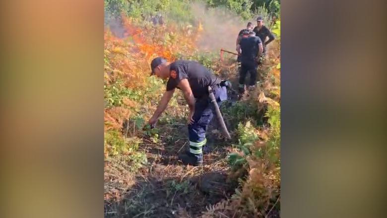 Zjarr në Janç Mal të Gramshit, terreni i thepisur vështirëson ndërhyrjen e zjarrfikësve