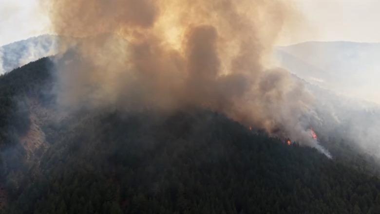Zjarret në vend, flakët kërcënojnë Gojanin e Pukës! Digjet mulliri, 2 helikopterë në ndihmë të operacionit! Zjarri në Milot përparon drejt banesave