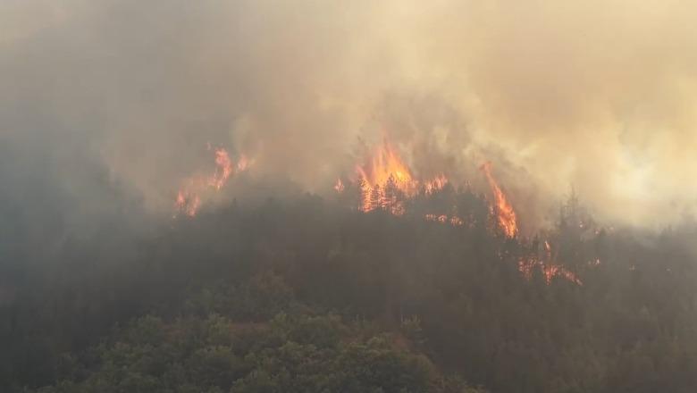 Pamje me dron/ Flakë apokaliptike në Gojan të Pukës, jepet urdhri i evakuimit! Zjarri djeg masivin pyjor në Milot, rrezikohen banesat