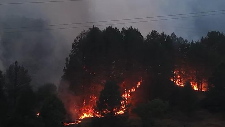 Pamje me dron/ Flakët në Gojan të Pukës, 3 helikopterë në terren! Nis evakuimi i banorëve! Zjarri djeg edhe masivin pyjor në Milot, shtëpitë në rrezik