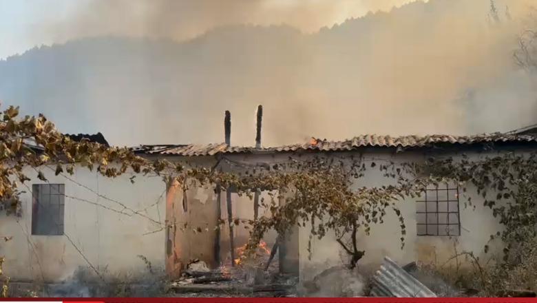 Gjithçka e përpirë', zjarri shkrumbon 4 banesa në Gojan të Pukës
