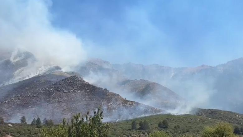 Vlorë/ Zjarri në Dukat zgjerohet me shpejtësi, flakët përfshijnë edhe një pjesë të malit të Çikës