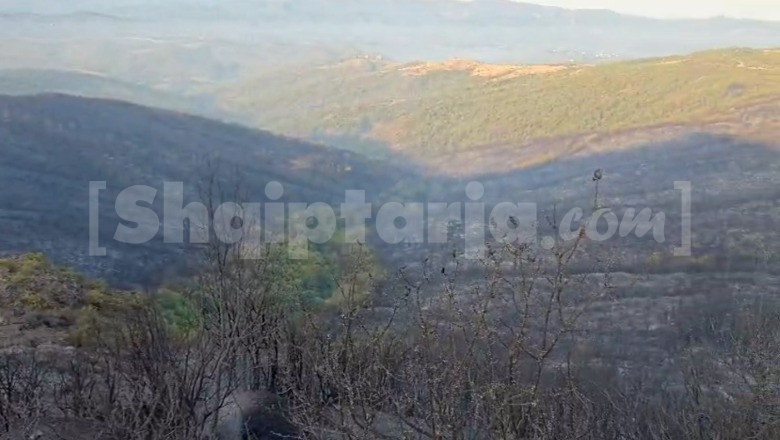 Zjarret/ Ende aktive vatrat në Tenë të Rrëshenit, Perlat të Epërm e Shtuf! Flakë edhe në malin e Kashnjetit në Pukë
