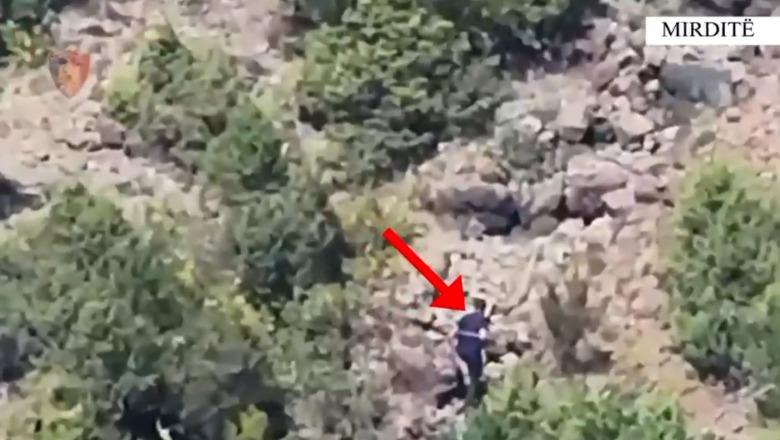 U kap duke ndezur zjarr, arrestohet piromani në Mirditë (EMRI)