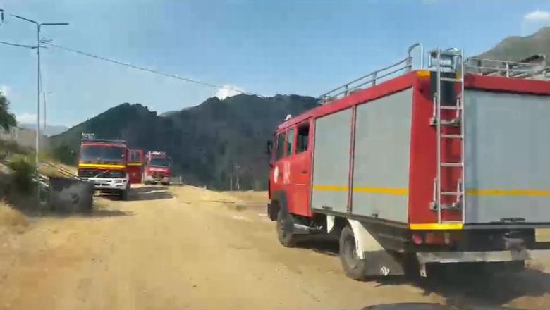 Përmirësohet situata e zjarreve në Gojan të Pukës, banorët e fshatit për Report Tv: Ka qenë situatë lufte! Mirë që nuk na u dogjën shtëpitë