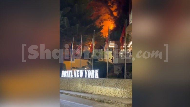 Zjarri pranë tunelit në Ujin e Ftohtë, flakët përfshijnë pisha e bredha
