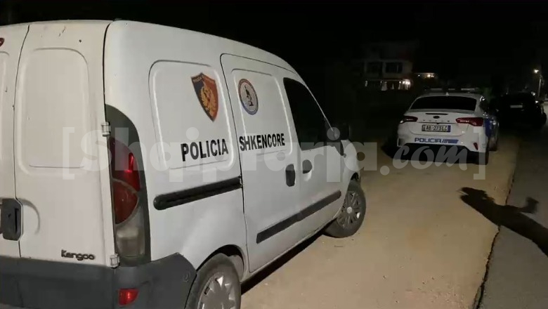 E rëndë në Lushnjë/ 45-vjeçari vret nënën dhe plagos rëndë të atin! Prangoset nga Policia (EMRAT)
