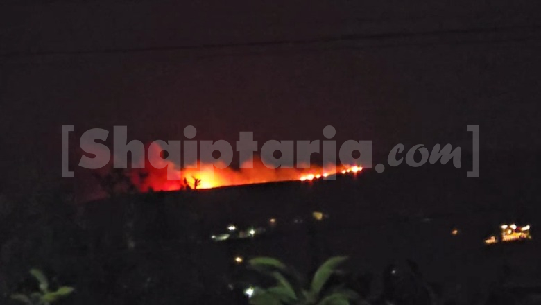 Vlorë/ Zjarr në Shashicë, flakët përhapen me shpejtësi në terrenin malor