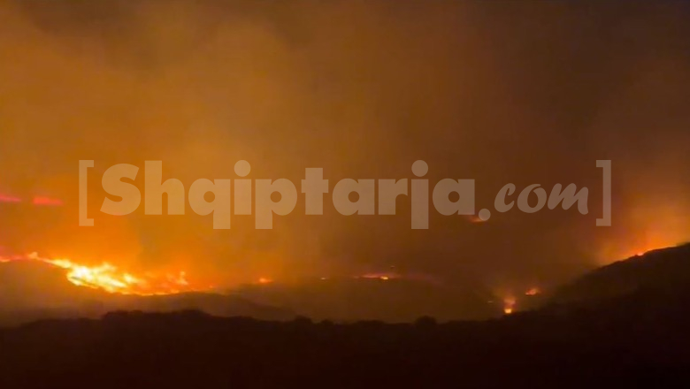 Vlorë/ Zjarr në Shashicë, flakët përhapen me shpejtësi në terrenin malor (VIDEO)