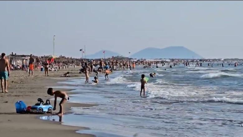 Pickimet nga 'peshku harabel' rrezik për pushuesit në Darëzezë, 3-4 raste çdo ditë! Mjekët: Shkakton dhimbje e mpirje, paraqituni për mjekim