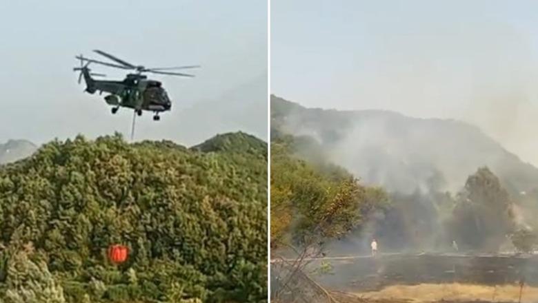 Zjarret, 7 vatra aktive! Flakët rrezikojnë disa banesa në Vranisht të Vlorës, ndërhyhet nga ajri, një i shoqëruar për zjarrëvënien (VIDEO)