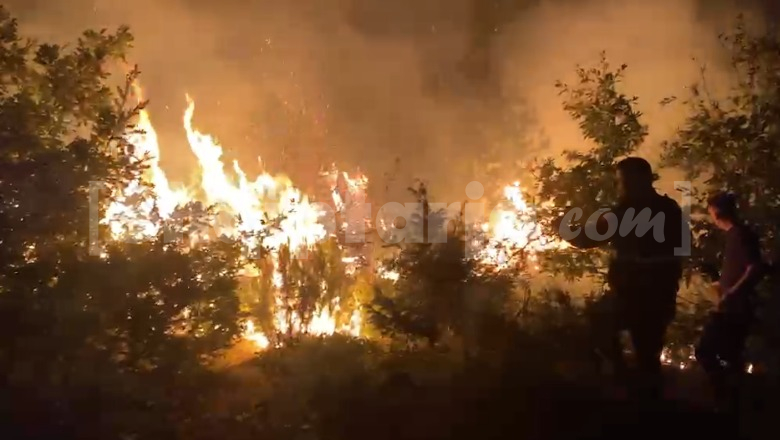 Zjarr masiv pranë fshatit Muzhakë të Matit, flakët përhapen me shpejtësi në një sipërfaqe me dushqe