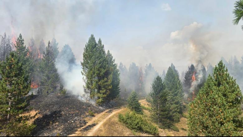 Dibër/ Zjarri në pyjet e Gramës merr përmasa të mëdha, në operacionin për shuarjen e flakëve 100 forca zjarrfikëse dhe një helikopter