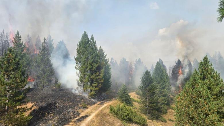 Dibër/ Zjarri në pyjet e Gramës merr përmasa të mëdha, në operacionin për shuarjen e flakëve 100 forca zjarrfikëse dhe një helikopter (VIDEO)