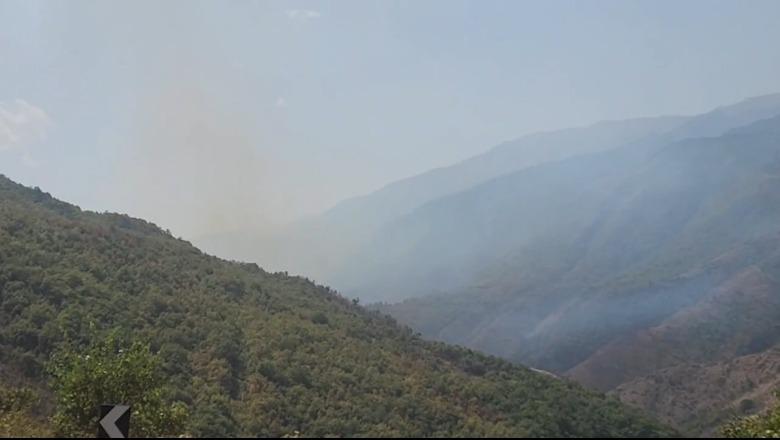 Zjarret/ 6 vatra aktive, situatë problematike në Dajt! Në Lundre të Matit era favorizon flakët, një helikopter në zonë