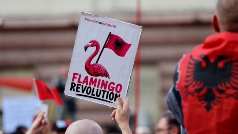 Flogert Muça: Anti-flluska e neomarksizmit