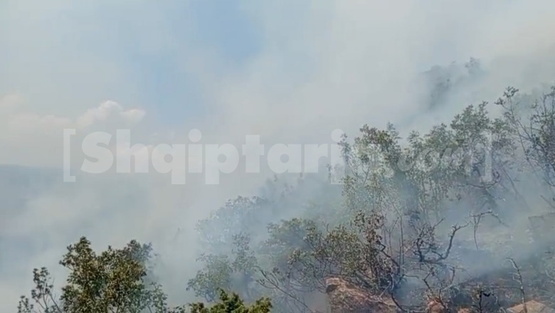 Zjarr në një sipërfaqe pyjore në Iballë të Fushë-Arrëzit! Kërkohet ndërhyrja e helikopterit
