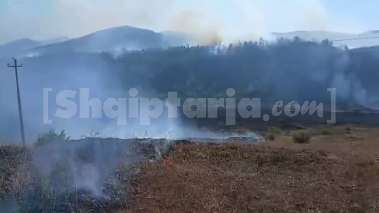 Zjarr i përmasave të mëdha në Kalivaç të Lezhës, flakët rrezikojnë zonën e banuar!
