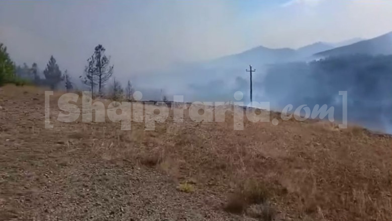 Zjarret në vend, 4 vatra aktive! Në Kalivaç të Lezhës rrezikohen banesat! Në Mallunxë të Matit flakët u drejtohen fshatrave, ende problematike situata në Dajt-Qafë Priskë