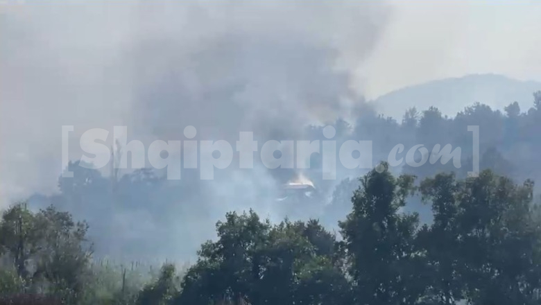 Zjarret në vend, 4 vatra aktive! Në Kalivaç të Lezhës rrezikohen banesat! Në Mallunxë të Matit flakët u drejtohen fshatrave, ende problematike situata në Dajt-Qafë Priskë (VIDEO)