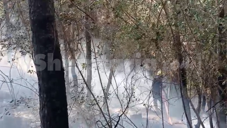 Zjarr në Greps të Niklës, flakët djegin pyje e shkurre