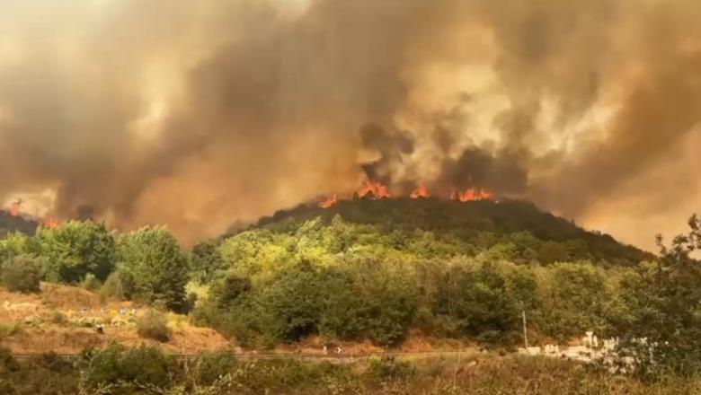 Flakët në Fier 200 metra larg lokaleve, pronarët evakuojnë stafin! Rrezikohet një karburant, ndërhyrje nga ajri me helikopter! Digjet një banesë, nis evakuimi