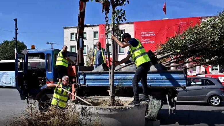 Në prag të Ditës së Shën Terezës, Bashkia e Tiranës rigjelbëron sheshin në qendër të kryeqytetit