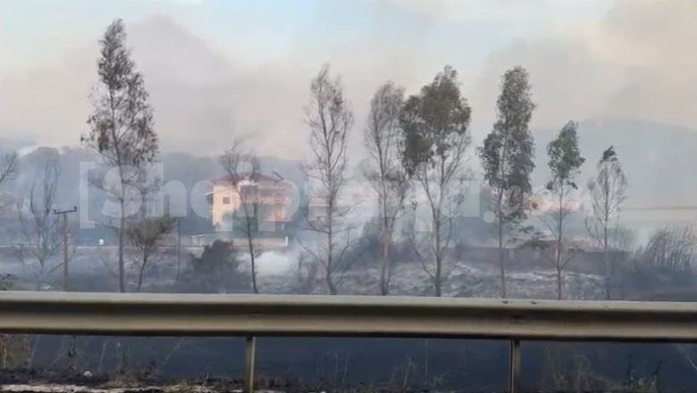 Pamje ‘apokaliptike’ nga zjarret në Fier, banorët: Na janë djegur qindra rrënjë ullinj, po na rrezikohen shtëpitë! Do marrim plaçkat dhe do ikim nga Shqipëria