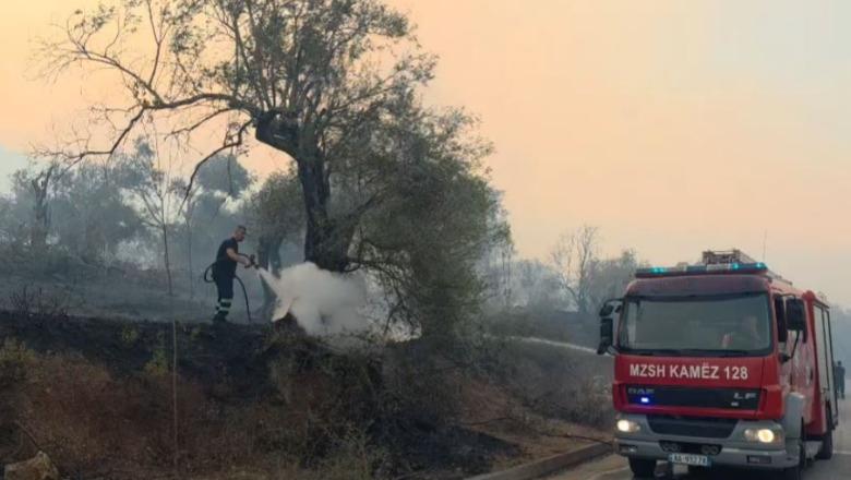 Zjarret/ Himara kalon natë tmerri, 7 banesa përpihen nga flakët! Nis ndërhyrja me helikopter (VIDEO)