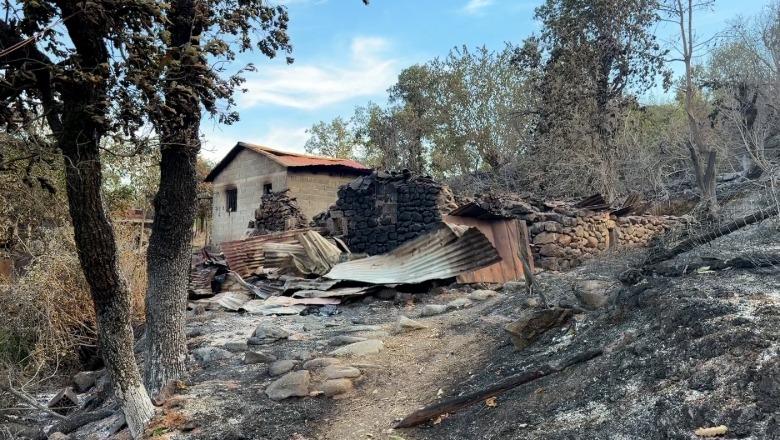 Zjarri në Ungrej të Lezhë, 10 banesa të djegura, 200 ha të shkrumbuara! Banorët kërkojnë kompensim