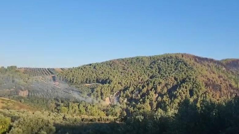 Frakulli i Fierit në ‘qetësi’ pas flakëve që dogjën 6 fshatra, ndërhyhet në një pikë zjarri