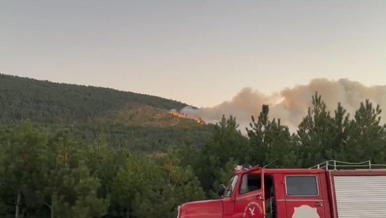 Rindizet zjarri në masivin pyjor të Tërbunit, dyshohet i qëllimshëm! Flakët favorizohen nga era e fortë, rrezikojnë kurorën e qytetit (VIDEO)