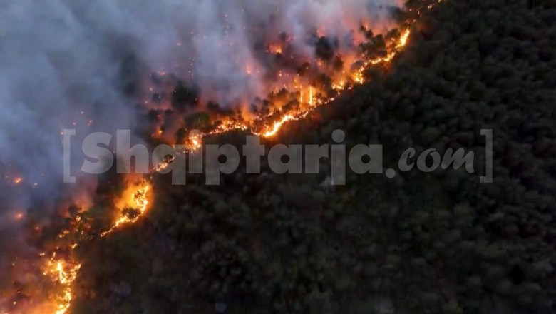 Rindizet zjarri në masivin pyjor të Tërbunit, dyshohet i qëllimshëm! Flakët favorizohen nga era e fortë, digjet një banesë! Rrezikohet kurora e qytetit (VIDEO)