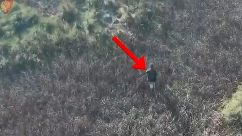 Fier/ Ndezi zjarr në grykëderdhjen e lumit Seman, pranga të riut! Arrestohet edhe një 60-vjeçar për zjarrvënie, nën hetim dy të moshuar