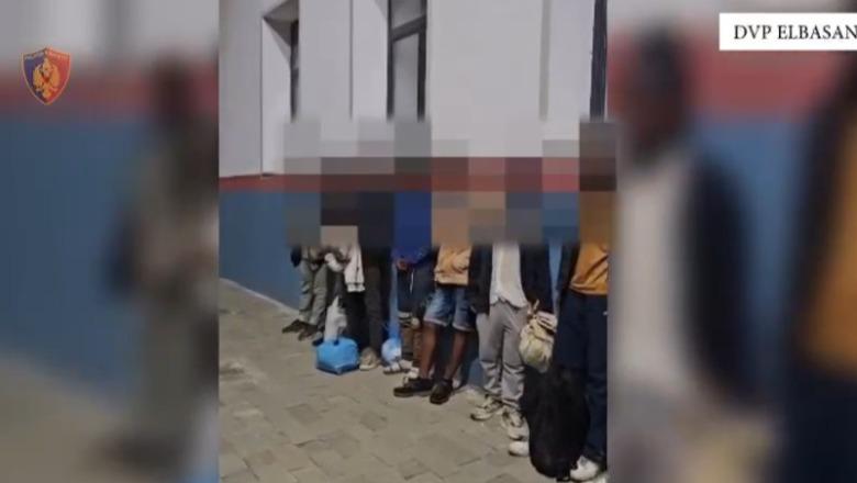 Transportonin emigrantë të paligjshëm, vihen në pranga dy të rinj në Elbasan! Sekuestrohen 2 makina