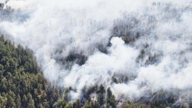 Pamjet me dron, Tërbuni nën ‘mëshirën’ e zjarrit, tymi i dendur mbulon pyllin me pisha