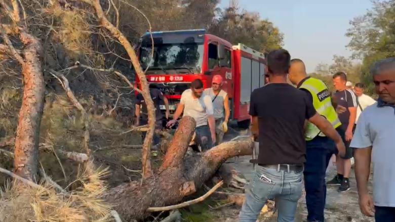 Bllokohet qarkullimi në aksin Levan-Fier, pisha e dëmtuar nga zjarri pengon kalimin e automjeteve