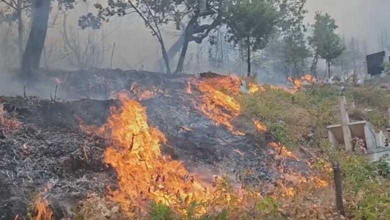 Zjarri prej gati një jave në Ungrej të Lezhës, 150 forca në terren dhe helikopter nga ajri! Vatrat e mëdha nën kontroll, por rreziku nuk ka kaluar